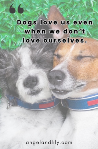 Daily Dogspiration – February 5, 2025