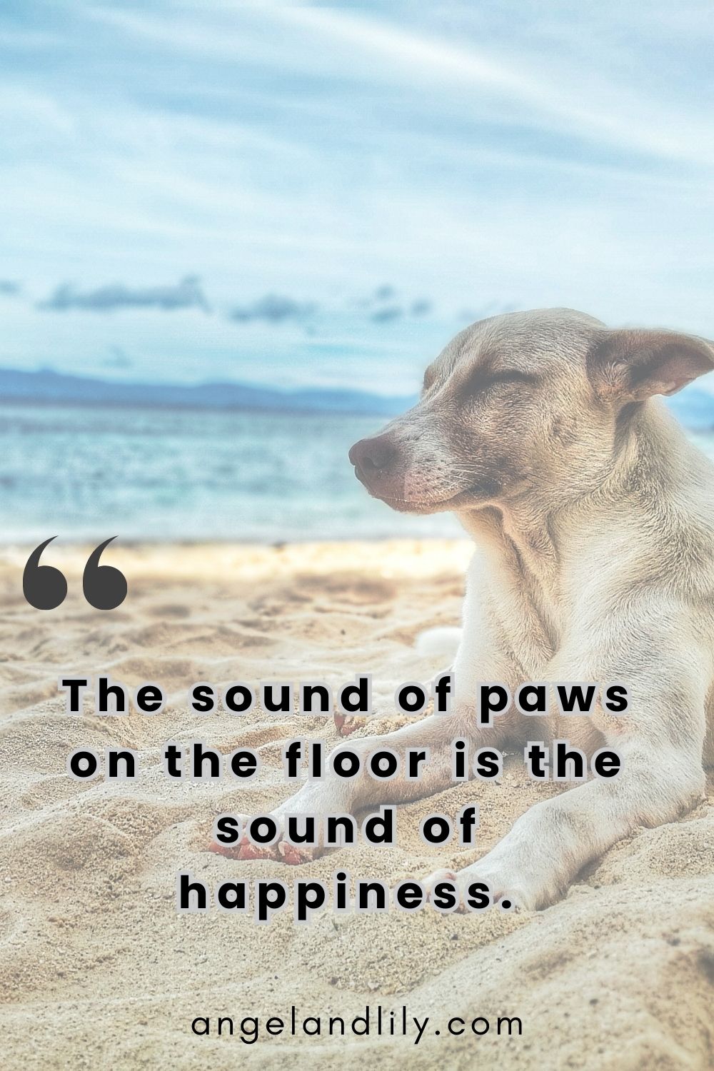 Daily Dogspiration – February 6, 2025
