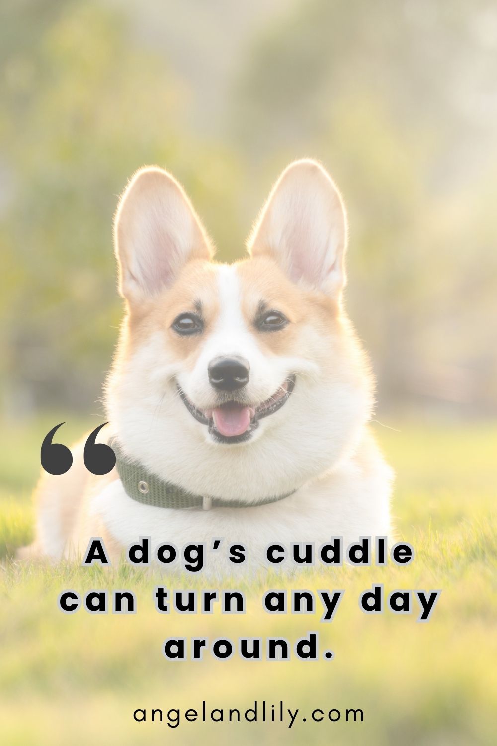 Daily Dogspiration – February 9, 2025