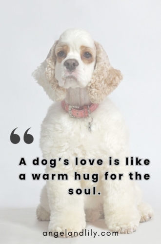 Daily Dogspiration – February 14, 2025