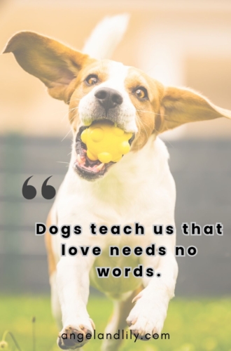 Daily Dogspiration – March 20, 2025