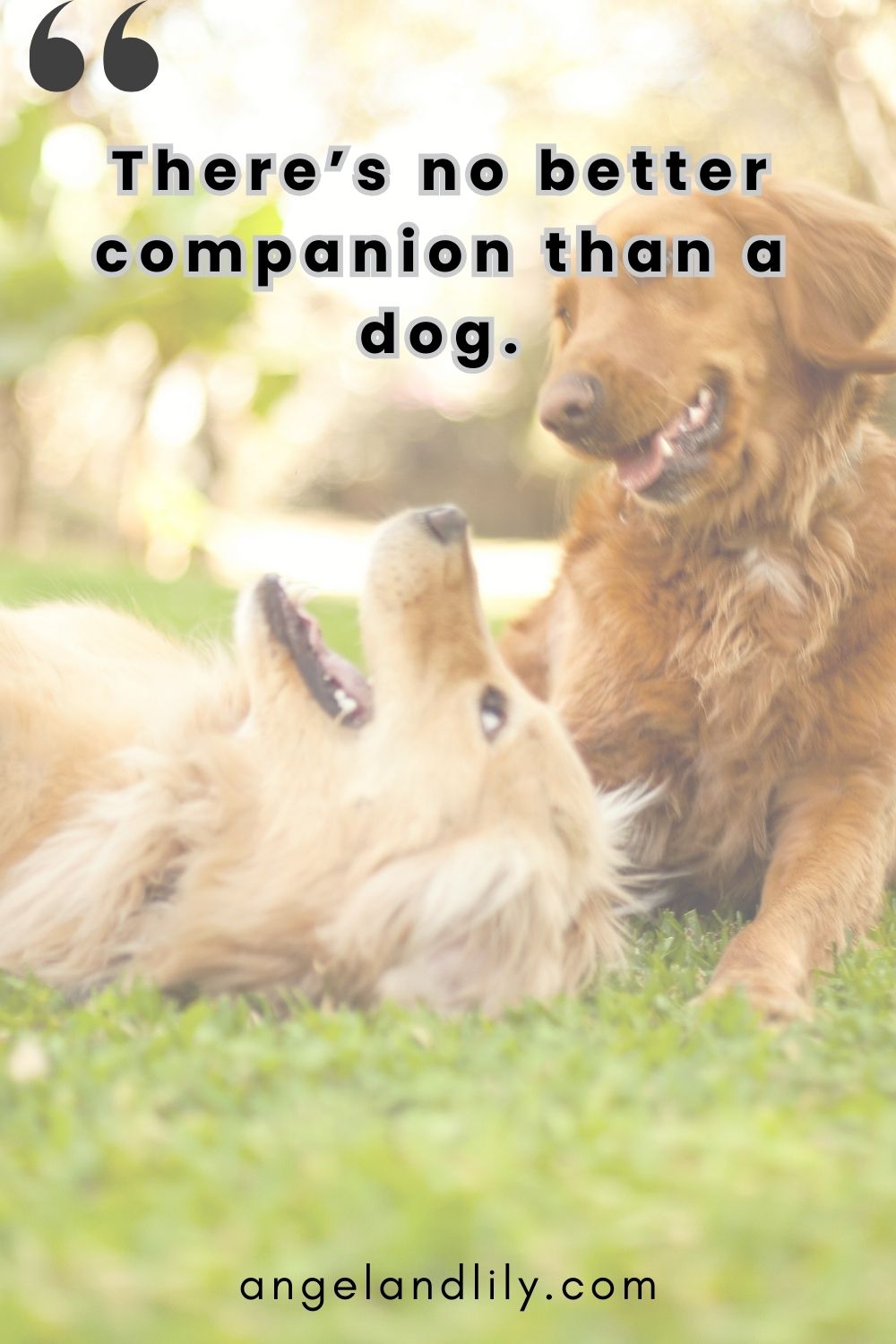 Daily Dogspiration – March 21, 2025