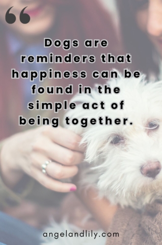 Daily Dogspiration – March 23, 2025