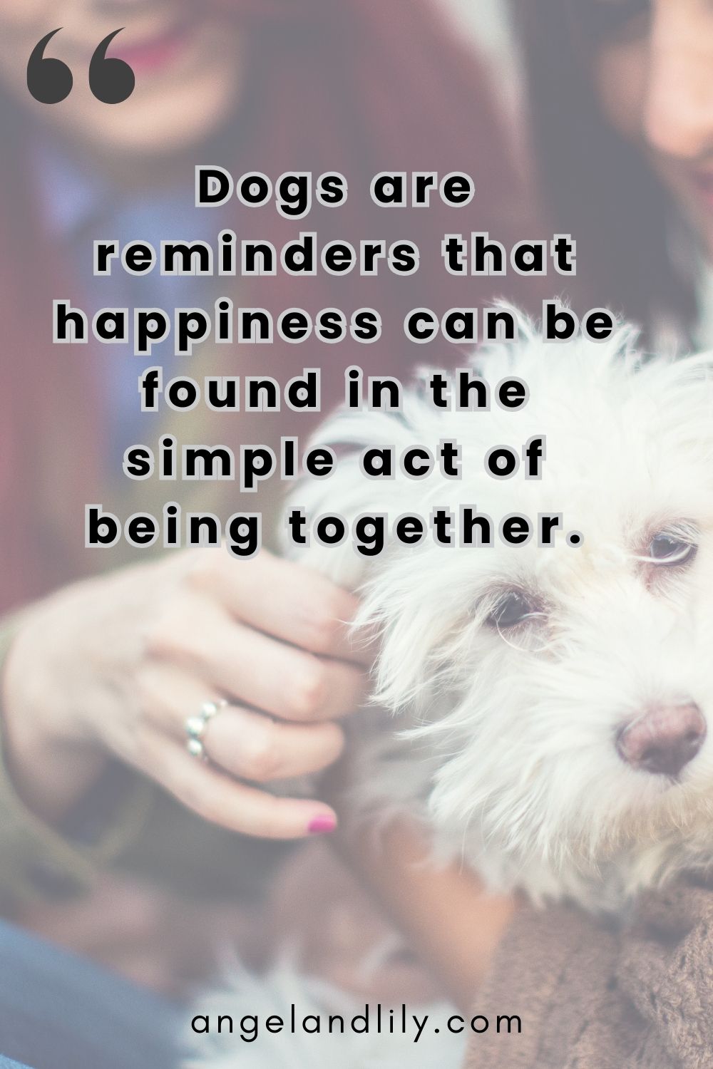 Daily Dogspiration – March 23, 2025
