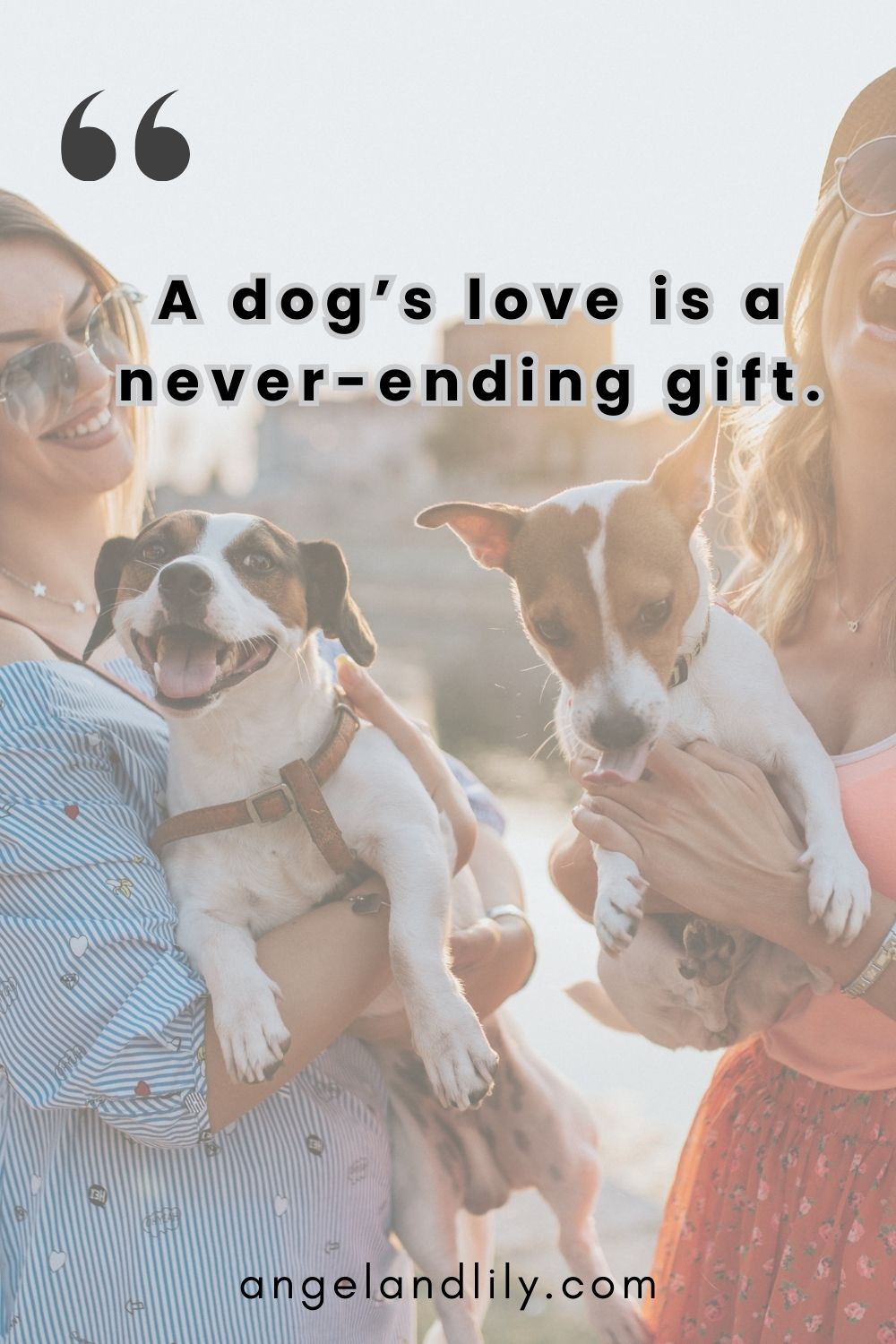 Daily Dogspiration – March 24, 2025