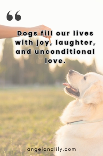 Daily Dogspiration – March 25, 2025