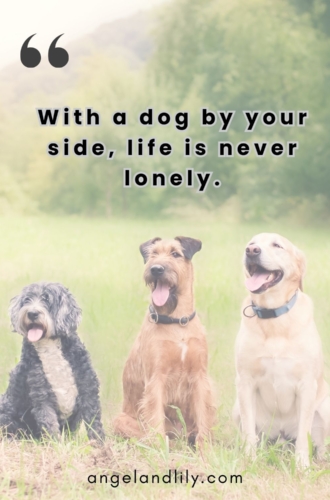 Daily Dogspiration – March 29, 2025