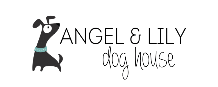 Angel and Lily Dog Collars and Accessories