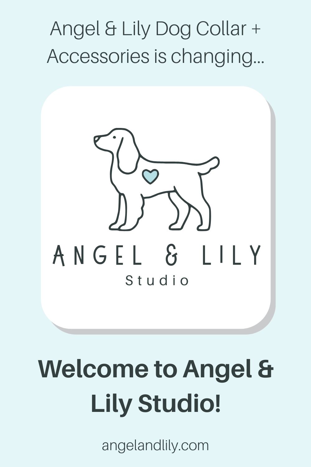 Angel & Lily is Rebranding!