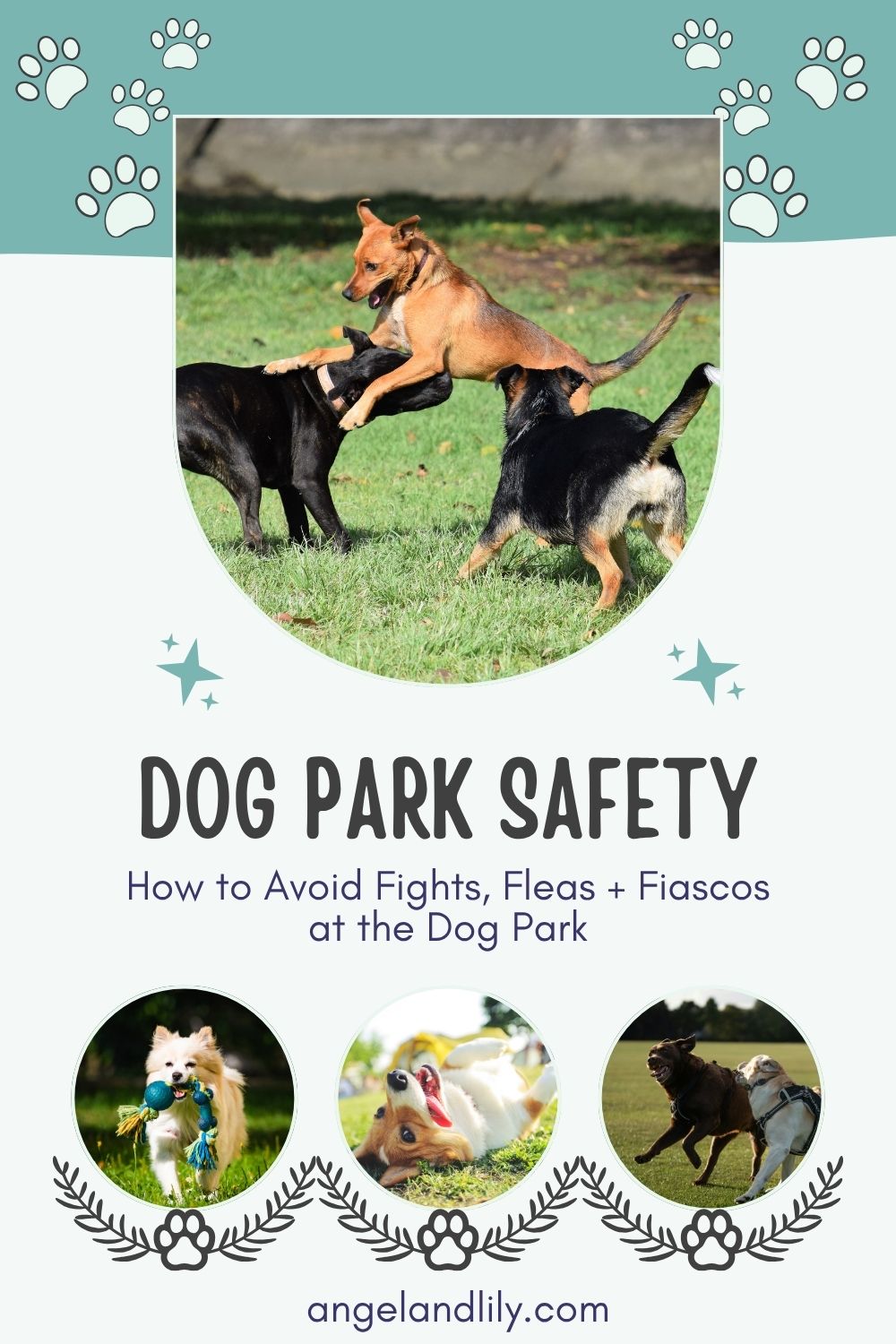How to Avoid Fights, Fleas and Fiascos at the Dog Park