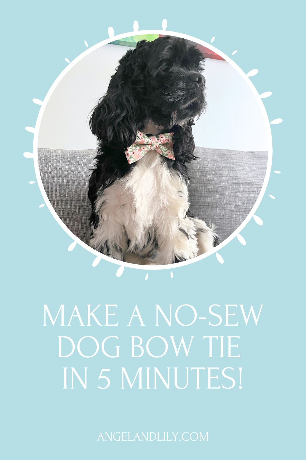 How to Make a No-Sew Dog Bow Tie in Just 5 Minutes!