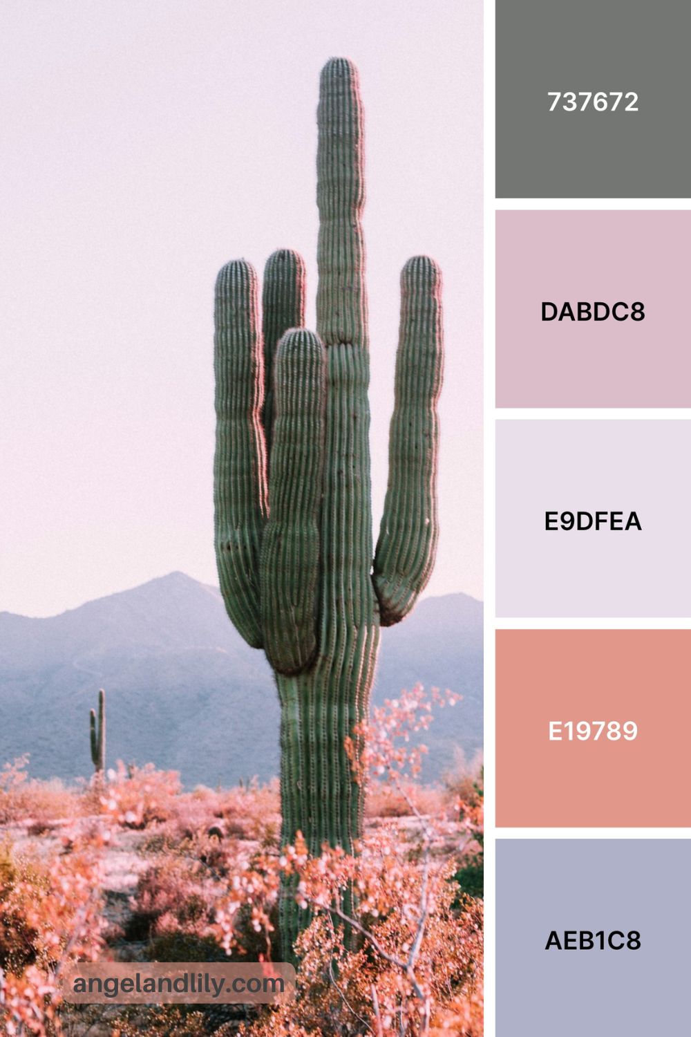 6 Boho Desert Color Palettes for Calm, Earthy Design Inspiration