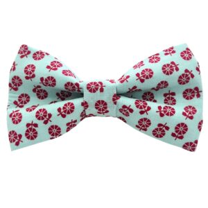 Turquoise and Red Scandi Floral Dog Bow Tie