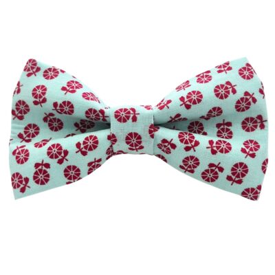 Turquoise and Red Scandi Floral Dog Bow Tie