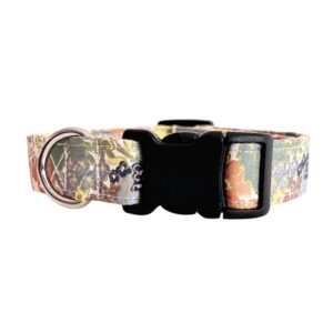 Orange Blue Yellow Gold Metallic English Rose Dog Collar