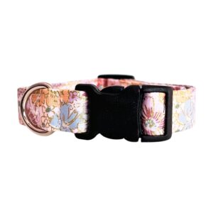 Cream Purple Orange Green Gold English Rose Dog Collar