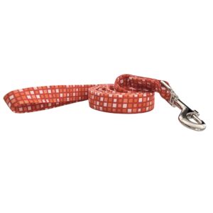Orange and White Modern Geometric Squares Dog Leash