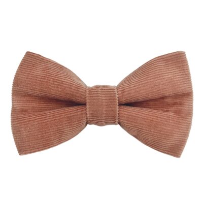 Terracotta Brown Sugar Corduroy Dog Bow Tie