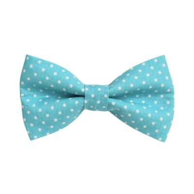 Aqua Blue and White Polka Dots Dog Bow Tie
